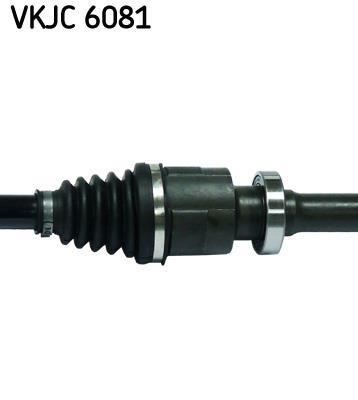 Cardan SKF ref. VKJC 6081